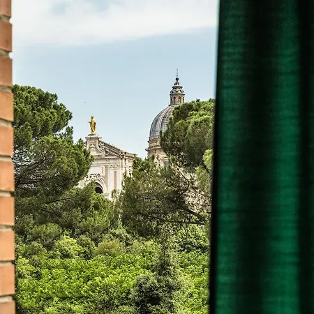 Franco Antonelli 3* Assisi